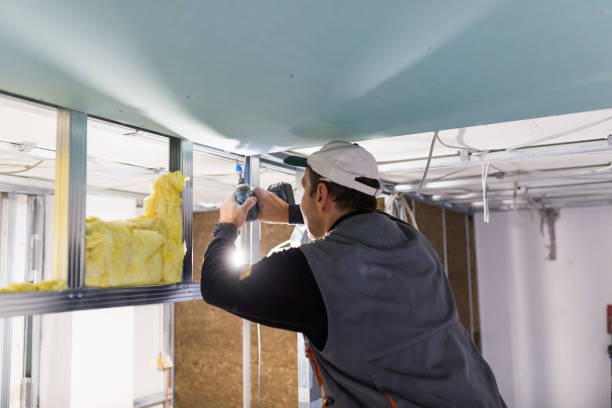 Best Insulation Maintenance and Repair in Clifton Forge, VA